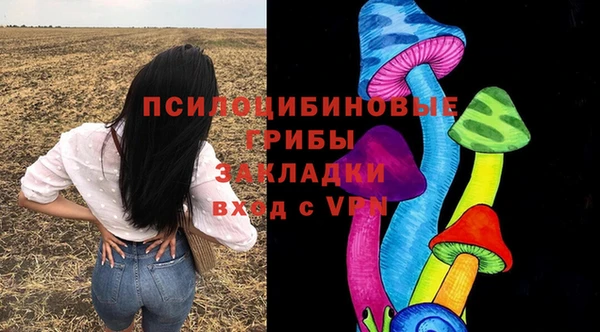 ALPHA-PVP Алексеевка