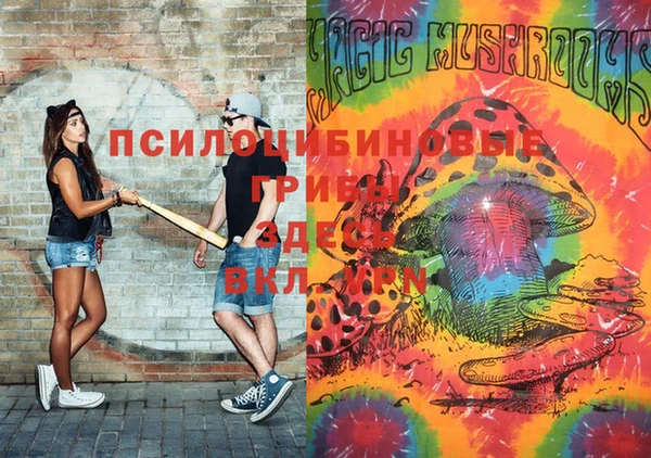 прущие крисы Пестово