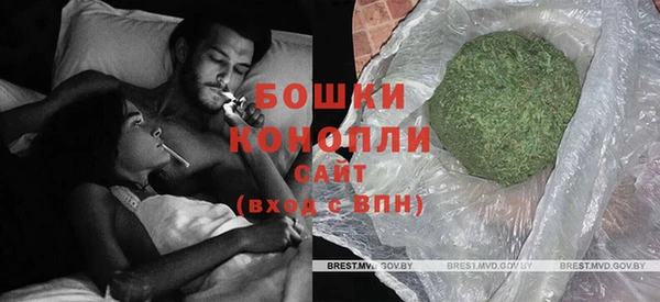 шишки Алексин
