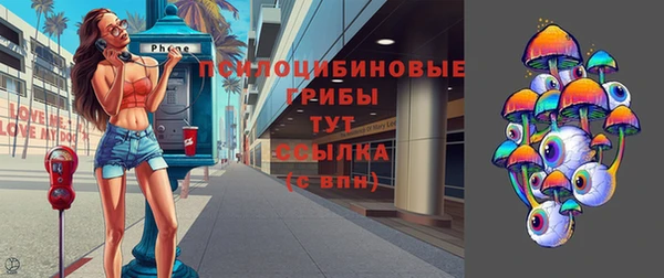 шишки Алексин